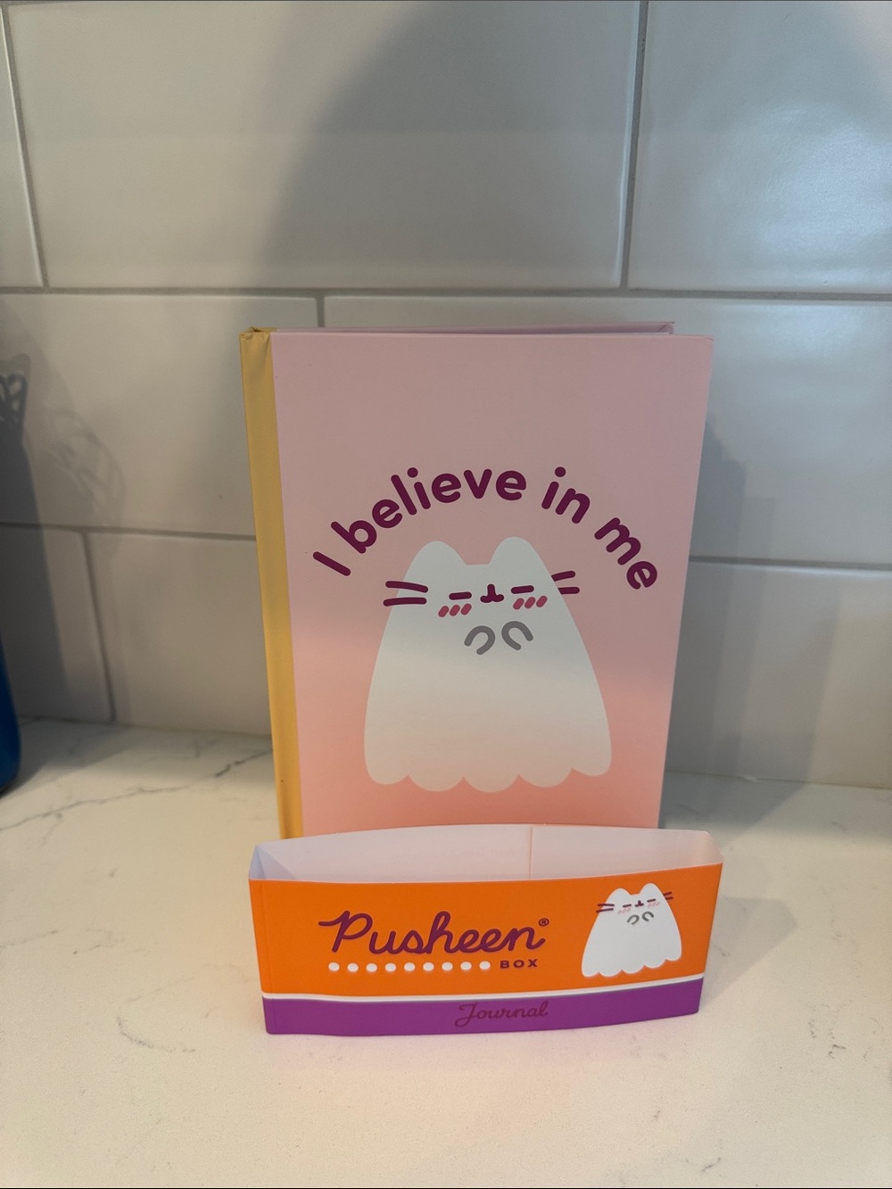 PUSHEEN box exclusive! PUSHEEN journal or notebook 📓